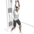 Triceps Extension, Standing