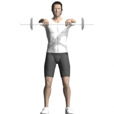 Barbell Front Raise Ending Position