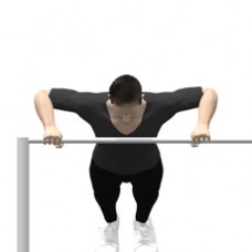 Monkeybars Push-up, Incline Ending Position