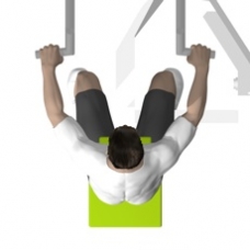 Lever Seated Row Starting Position