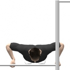 Monkeybars Push-up, Parallel Bars Ending Position
