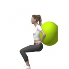 Fitness Ball Squat, Wall Ending Position