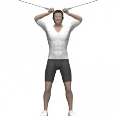 Cable Biceps Curl, Opposing Ending Position