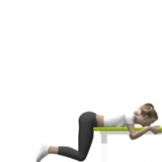 Bodyweight Only Hip Extension, Prone Starting Position