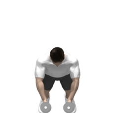 Dumbbell Push-up Fly Starting Position