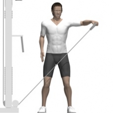 Cable Lateral Raise, One Arm Ending Position