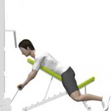 Cable Incline Curl, Prone Starting Position