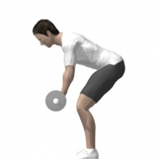 Barbell Curl, Bent-over Starting Position