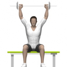 Barbell Behind Neck Press, Seated Ending Position