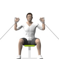 Cable Shoulder Press, Seated Starting Position