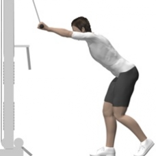 Cable Front Pulldown, Straight Arms Starting Position