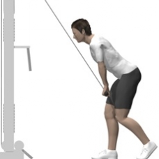Cable Front Pulldown, Straight Arms Ending Position