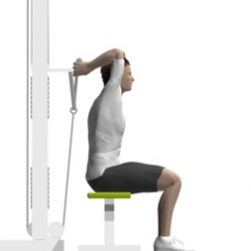 Cable Triceps Extension, Seated Starting Position
