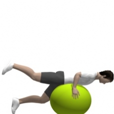 Fitness Ball Hip Extension, Prone, Straight Leg Ending Position