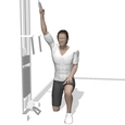 One Arm Pulldown, Lunge