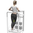Standing Hip Adduction
