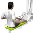 Seated Row, Hip Extension