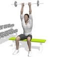 Triceps Extension, Seated