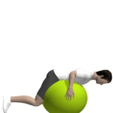 Fitness Ball Hip Extension, Leg Flexion, Prone Starting Position