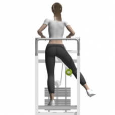 Lever Standing Hip Adduction Starting Position