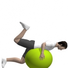 Fitness Ball Hip Extension, Leg Flexion, Prone Ending Position