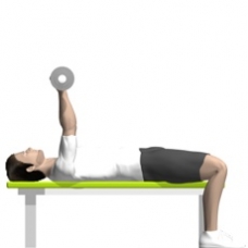 Ez-Bar Triceps Extension, Lying Starting Position