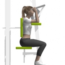 Lever Triceps Extension Starting Position