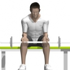 Barbell Wrist Curl Starting Position