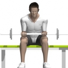 Barbell Wrist Curl Ending Position