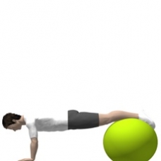 Fitness Ball Plank Starting Position