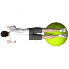 Fitness Ball Plank Ending Position