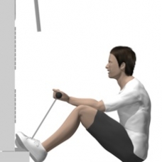 Cable Curl, Seated Starting Position