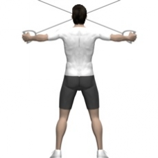 Cable Reverse Fly, Standing Ending Position