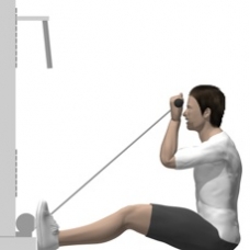 Cable Curl, Seated, Elbows Up Ending Position