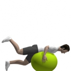 Fitness Ball Hip Extension, Prone Ending Position