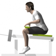 Lever Seated Calf Press Ending Position