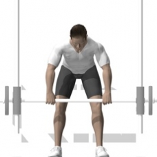 Smith Press Bent-over Shoulder Row Starting Position