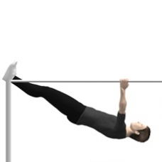 Monkeybars Row, Parallel Bars Starting Position