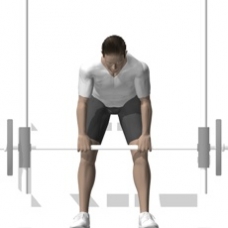 Smith Press Row, Bent-over Starting Position