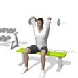 Triceps Extension, Seated