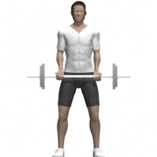 Barbell Biceps Curl, Standing Starting Position