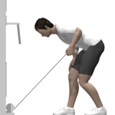 Cable Kickback, Bent-over Starting Position