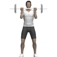 Barbell Biceps Curl, Standing Ending Position
