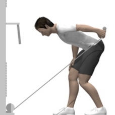 Cable Kickback, Bent-over Ending Position