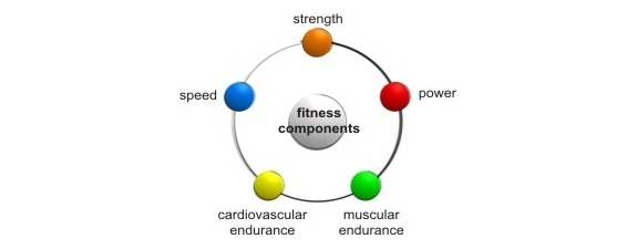 fitness_components
