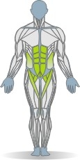 Monkeybars Leg-Hip Raise Muscles Front