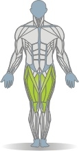 Sled Vertical Leg Press, Single Leg Muscles Front