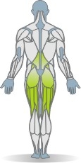 Matte Hüftheben, Rückenlage, einbeinig Muskeln Rückseite