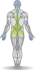 Matte Rückenpresse, Bauchlage Muskeln Rückseite