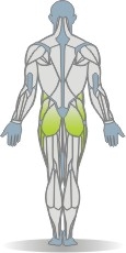 Balance Pad Beinheben, Seitlage Muskeln Rückseite